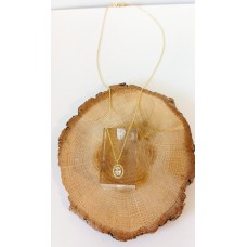 Ασημένιο κολιέ ροζέτα επίχρυση οβάλ με ζιργκόν χρώματος Λευκό (SN169)